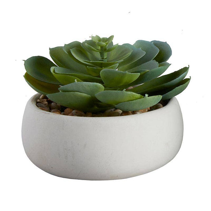 Small Faux Succulent